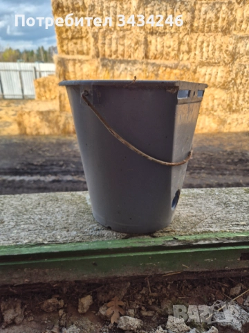 Кофи за телета