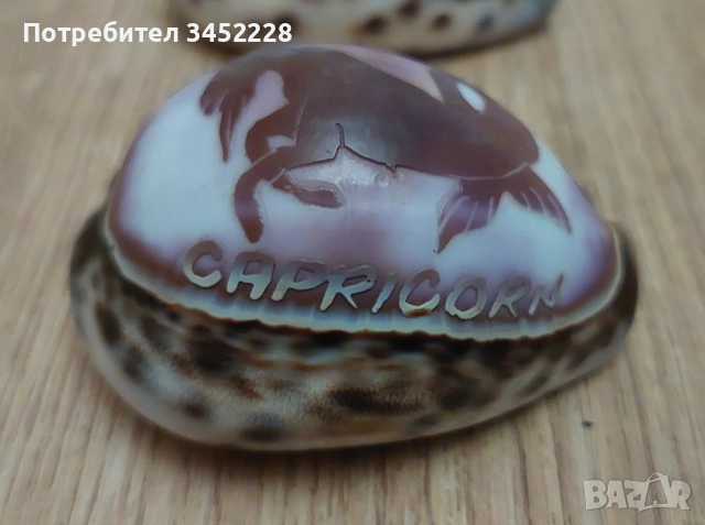 раковини гравирани три броя за ценители , снимка 6 - Декорация за дома - 52665846