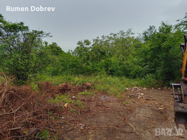 Почистване на парцели, дворове, снимка 2 - Други услуги - 43083253