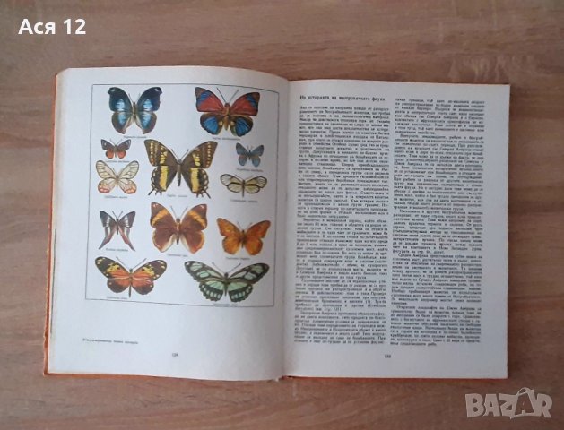 Ретро детски-енциклопедии  от80-те години, 3броя за33лв, снимка 10 - Детски книжки - 43601391