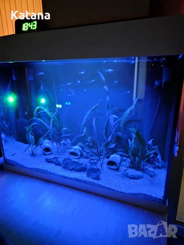 Аквариум аквариум, снимка 3 - Аквариуми - 52814066