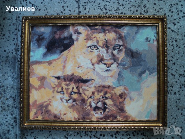 Картини, снимка 5 - Картини - 21197653