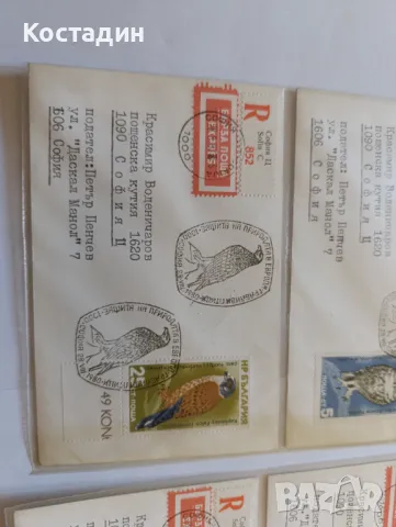 Пощенски пликове България защита на природата на Европа 1980, снимка 3 - Филателия - 48907522