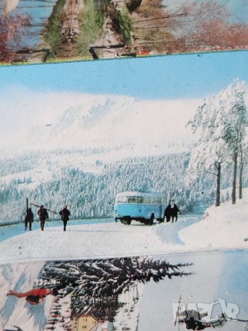 Видин фотографии (на малки диплянки) ч/б ( от 1950-те) и на Народен парк Витоша от 1973 г. цветни, снимка 10 - Други ценни предмети - 49939235