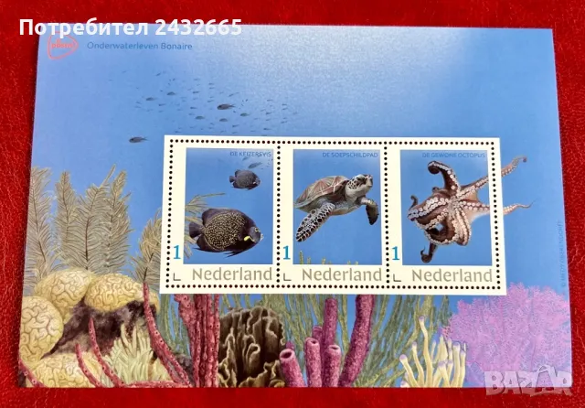 2335. Нидерландия 2024 = “ Фауна. Морски живот от остров Бонер. “, **, MNH