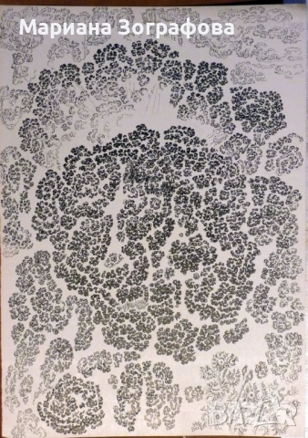  Графики 17 бр. - големи, - Картина „ Аспаруховият дъб ” 1994 г., снимка 2 - Картини - 22615936