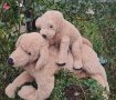 GOSIG GOLDEN меки играчки кученца / златен ретривър, снимка 1 - Плюшени играчки - 43173282