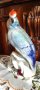 Порцеланова статуетка папагал, снимка 2
