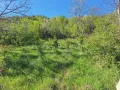 парцел в Еленският балкан , снимка 12
