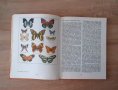 Ретро детски-енциклопедии  от80-те години, 3броя за33лв, снимка 10