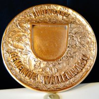 Немски бронзов герб на Wallenhorst,преспапие., снимка 1 - Антикварни и старинни предмети - 27920371