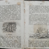 Библейская история /1859/, снимка 4 - Антикварни и старинни предмети - 36430795