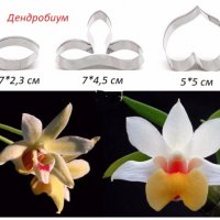 5 Вид Дендробиум Орхидея 3 части метални резци направа изработка на цвете украса декорация торта, снимка 1 - Форми - 26302560