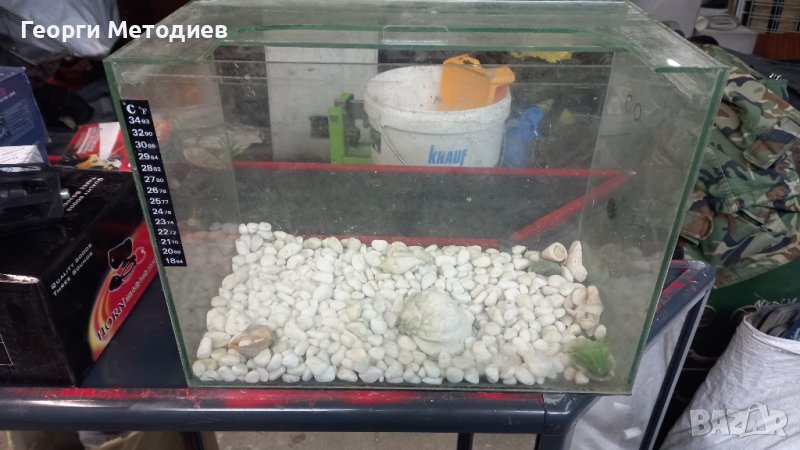 Аквариуми , снимка 1