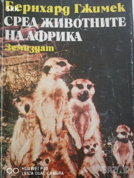 Сред животните на Африка, снимка 1