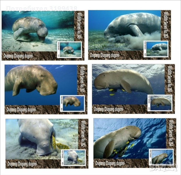 Чисти блокове Фауна Дюгон Морска крава 2020 Тонго, снимка 1