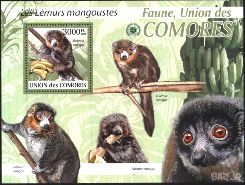 Чист блок Фауна Лемури 2009 от Коморски острови, снимка 1