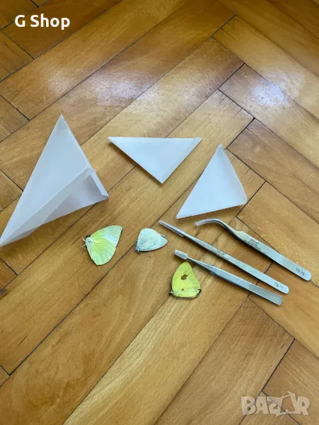 Препарирани пеперуди пинсети , снимка 1