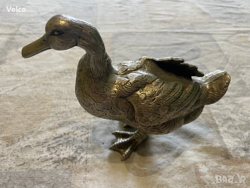 голяма посребрена патица, снимка 1