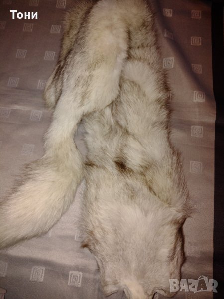  Шал яка от полярна бяла лисица , снимка 1
