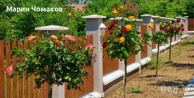 Парцел за продажба 1080 кв.м. Арбанашко бърдо , снимка 4 - Парцели - 50224660