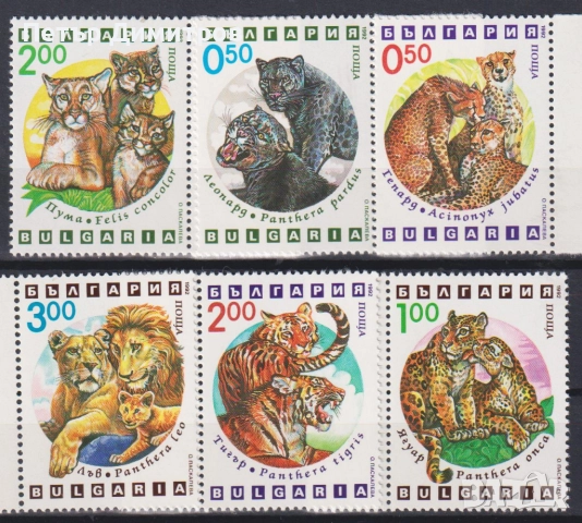 Чисти марки Фауна Птици Сови Хищници Кораби 1992 от България, снимка 7 - Филателия - 52621912