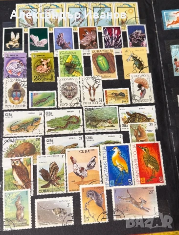 Стари пощенски марки, снимка 8 - Филателия - 51152353