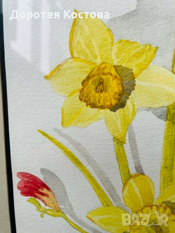 Красиви рисувани нарциси от Англия, снимка 2 - Антикварни и старинни предмети - 53398708