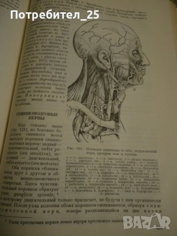 Учебник анатомии человека -том2, снимка 7 - Специализирана литература - 40285888