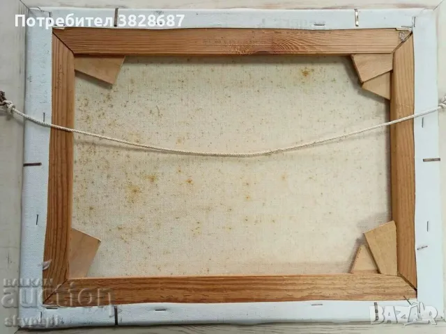 ПЕЙЗАЖ, снимка 5 - Картини - 48247971