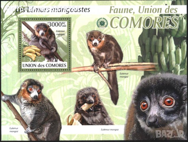 Чист блок Фауна Лемури 2009 от Коморски острови, снимка 1 - Филателия - 33148295