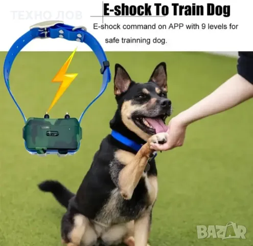 GPS тракер за ловни кучета за следене и обучение с електрошок IK122T, снимка 9 - За кучета - 47863296