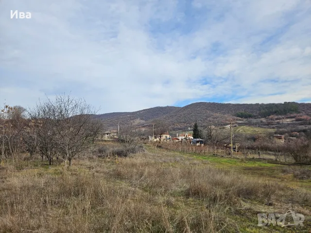 Панорамен парцел средно градище