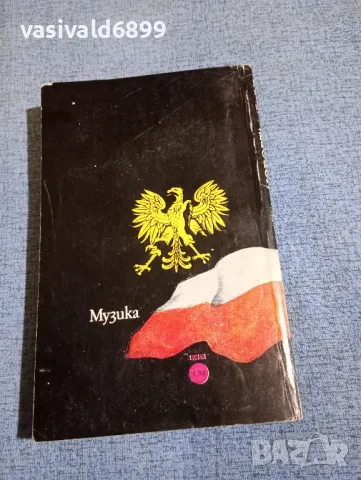 Йежи Брошкевич - Любовта на Шопен , снимка 3 - Художествена литература - 49787348