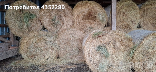 Бали ливадно сено, снимка 3 - За селскостопански - 53066246
