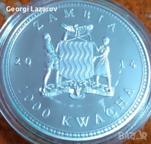 1000 квача Замбия 2014 костенурки, снимка 3 - Нумизматика и бонистика - 39006374