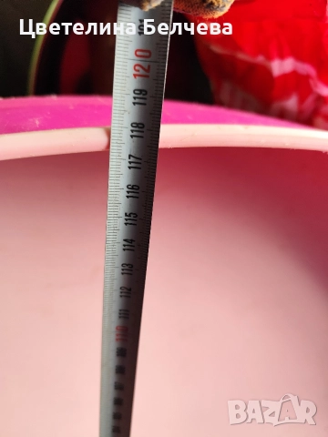 Басейн тава за улови патетата , снимка 4 - Басейни и аксесоари - 52653603