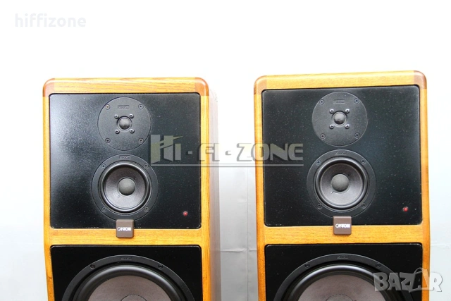 Тонколони   Canton Ergo Активни , снимка 4 - Тонколони - 53382577