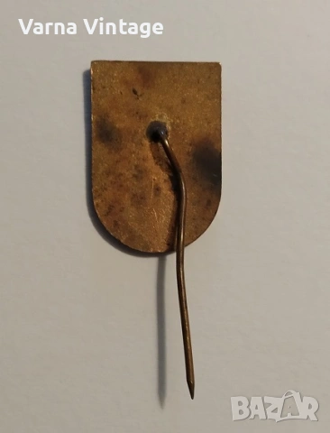 Значка ДСП РОДИНА ВАРНА. емайл. БНР., снимка 3 - Колекции - 53349655