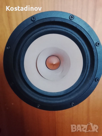 Широколентови хартиени говорители Tang Band W8-1808