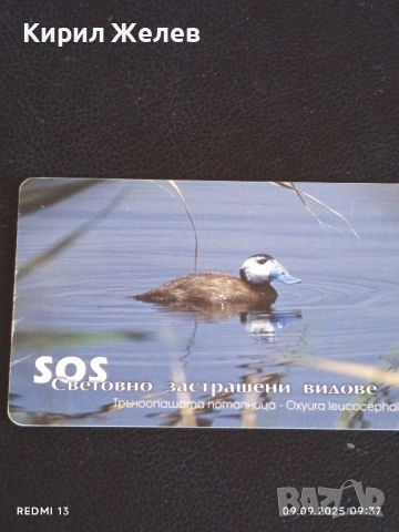 Три фонокарти МОБИКА тема ЖИВОТНИ ТАРАЛЕЖ,КЪДРОГЛАВ ПЕЛИКАН 17067, снимка 6 - Колекции - 51649185