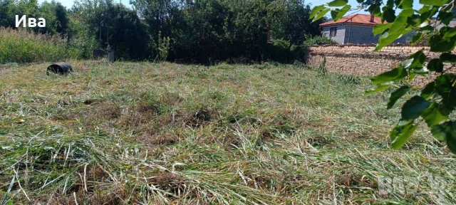 Къща с. Джулюница , снимка 9 - Къщи - 53221269