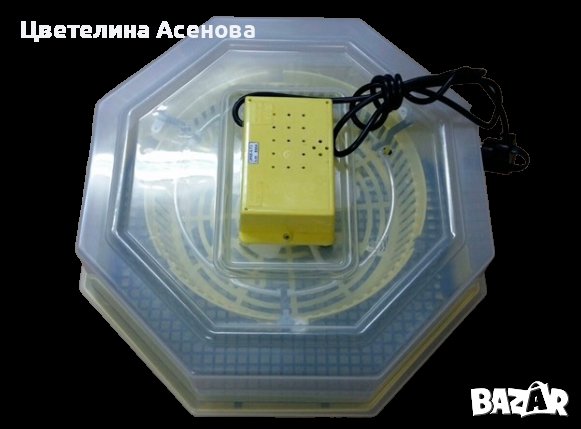 Румънски инкубатори(с ръчно завъртане на яйцата) , снимка 5 - За птици - 21428161