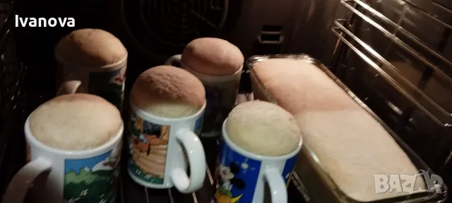 ФУРНА ЗА ВГРАЖДАНЕ - BOSCH HBN210250E, снимка 6 - Печки, фурни - 49773430