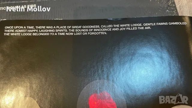 Madchen Amick - “Black Lodge” (2011), снимка 3 - Грамофонни плочи - 47727045