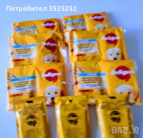 ПРОДАВАМ  БЯЛ  ЖЕНСКИ  СЪРНИСТ ПИНЧЕР  НА  2 М.  , снимка 9 - Пинчер - 53218338