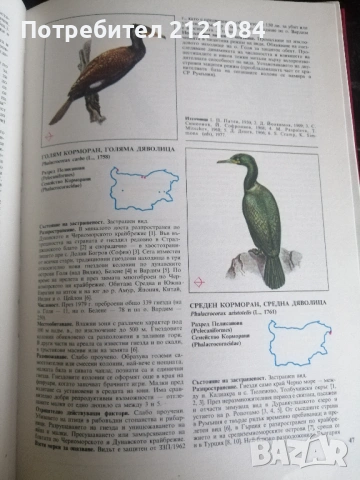 Червена книга на НР България. Том 2: Животни , снимка 4 - Енциклопедии, справочници - 53296861