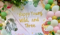 Банер за рожден ден Happy Young, Wild and Three, снимка 3