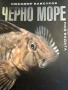 Черно море под водата- Любомир Клисуров, снимка 1