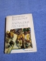 Валентин Караманчев - Мървашки песнивец , снимка 1